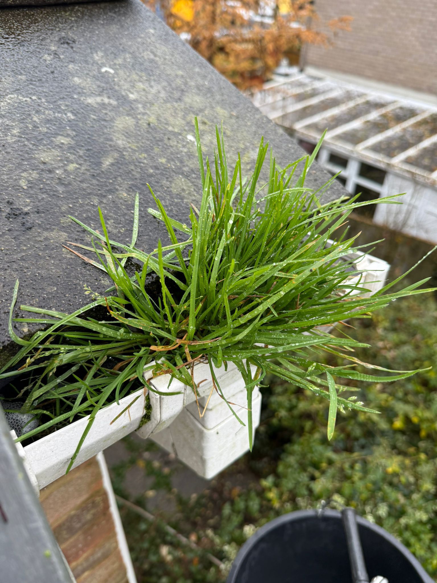 Blocked gutter downpipe in Whitebushes